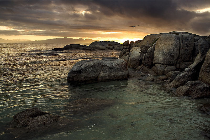 Boulders Cape Town