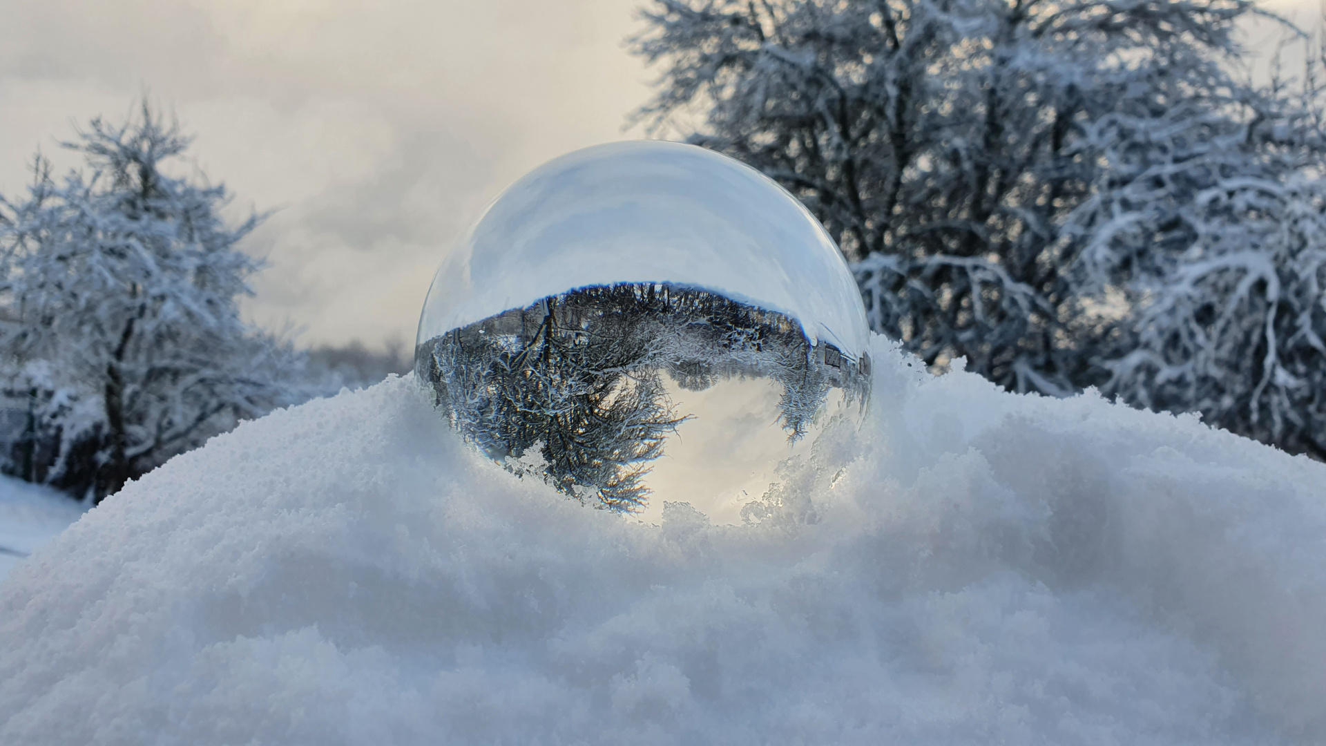 Boule...