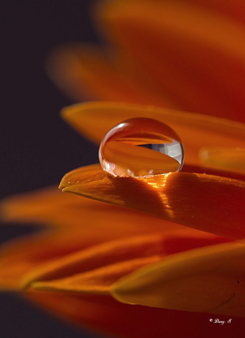 Boule de cristal