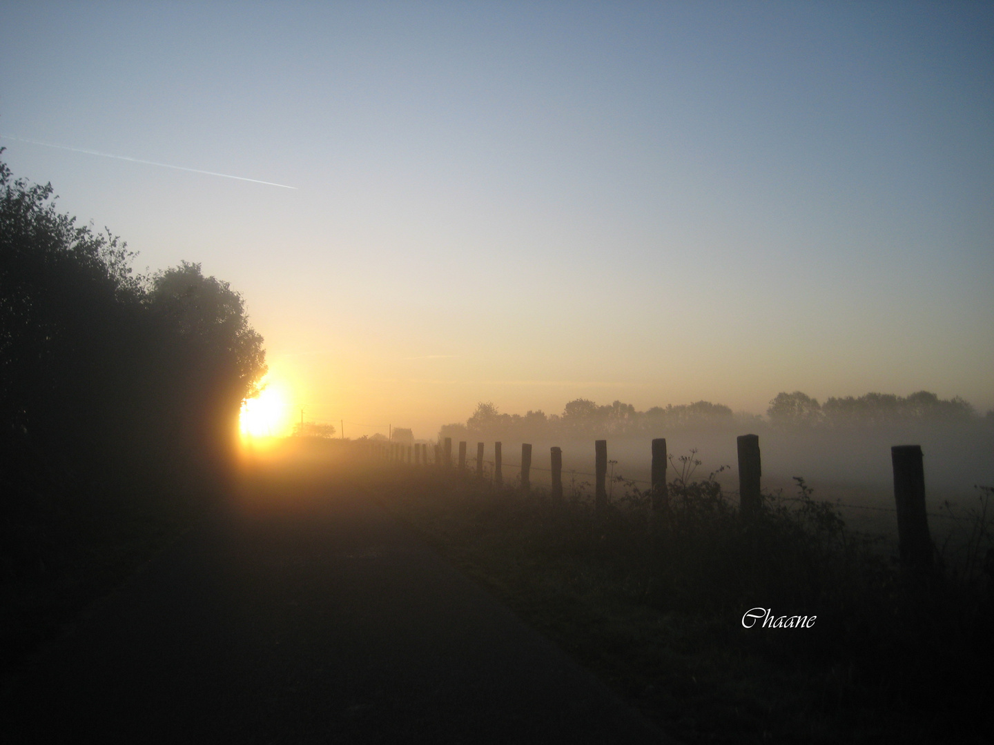 boule de feu dans le brouillard