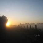 boule de feu dans le brouillard