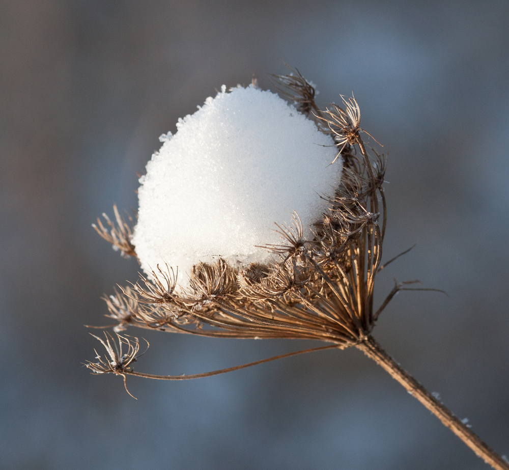 boule de glace