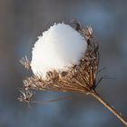 boule de glace