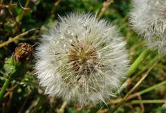 boule de lumiere