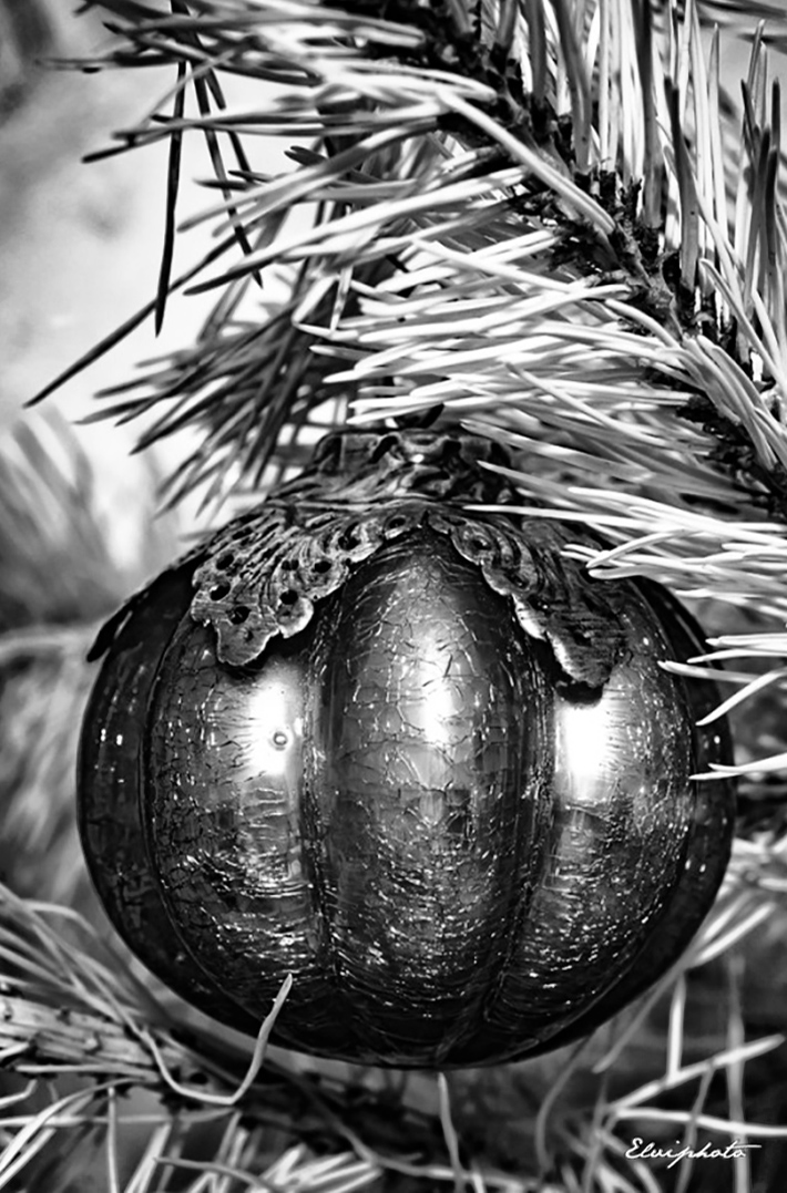 Boule de Noël 