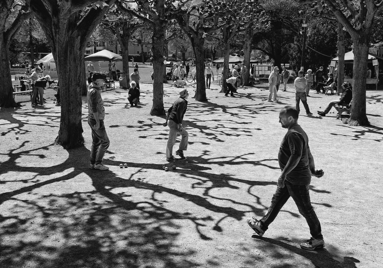 Boule-Turnier in Bonn