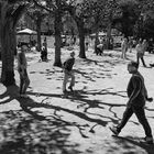 Boule-Turnier in Bonn