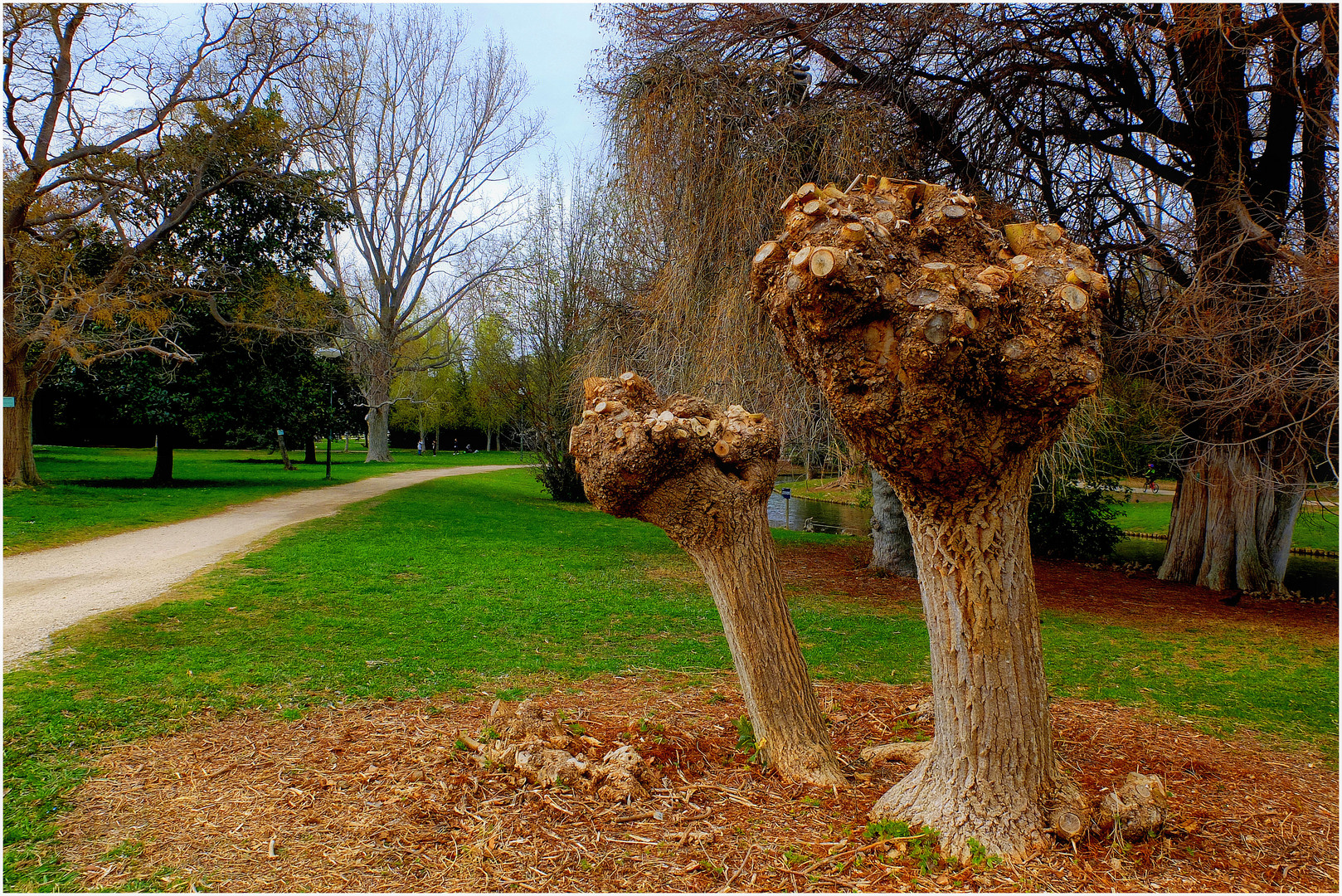 Boule(s) à zéro !