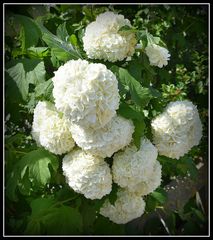 boules de neige