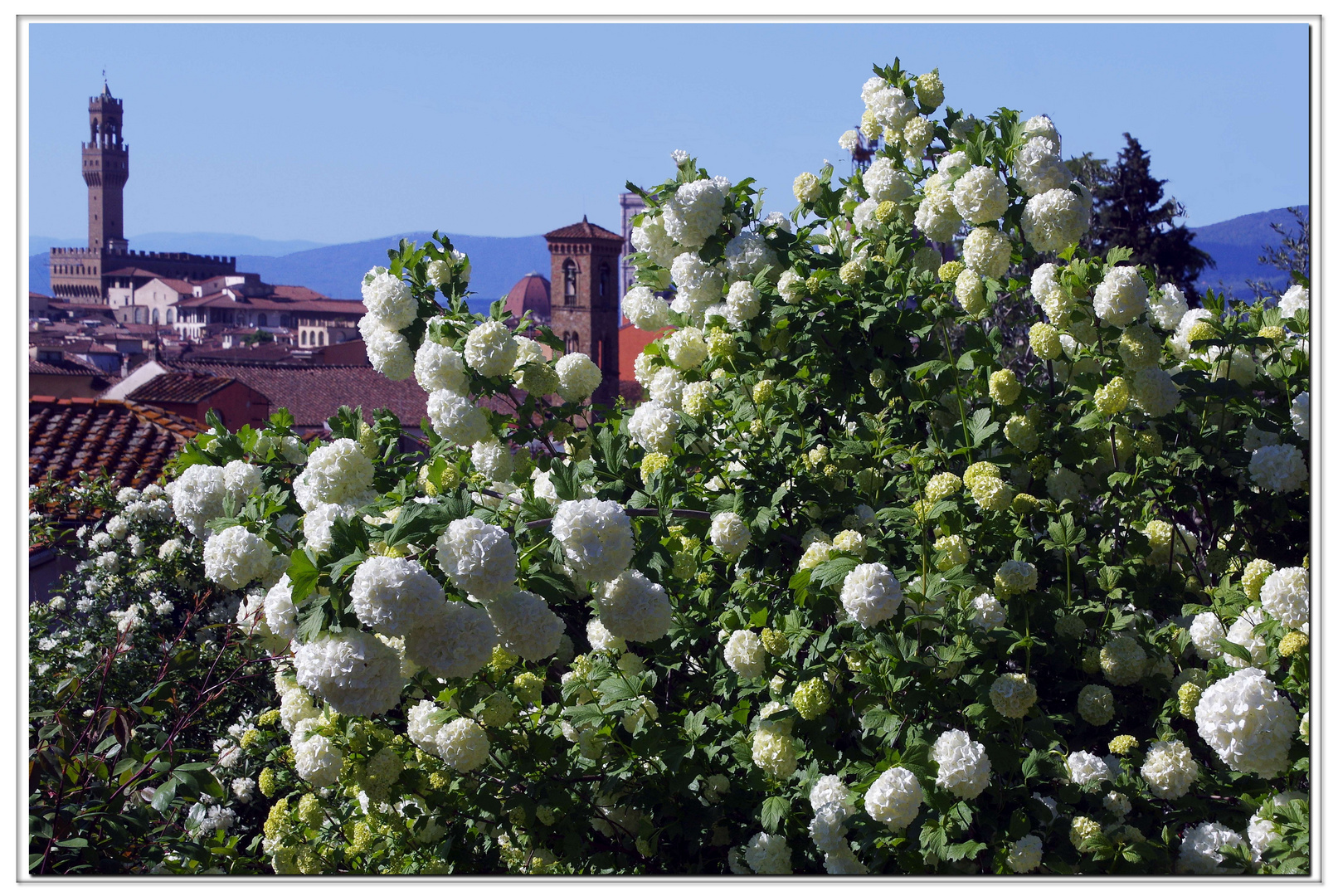 boules de neige sur florence...