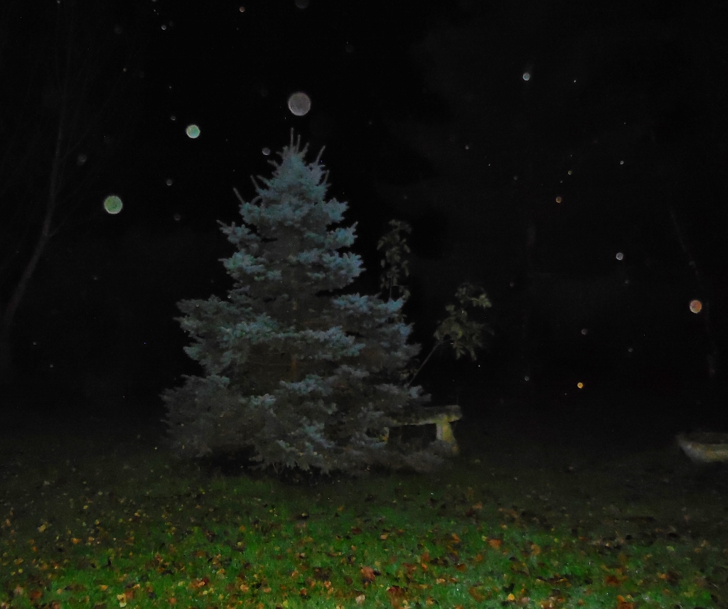 Boules de Noël... le soir du 1er décembre, en Auvergne