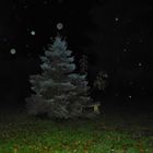 Boules de Noël... le soir du 1er décembre, en Auvergne