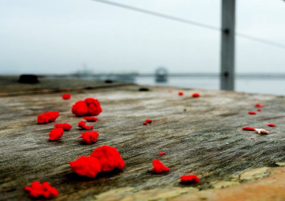 Boules rouges à Lorient