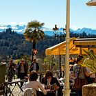 Boulevard des Pyrénées