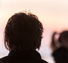 boulevard of hairs