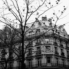 Boulevard St-Germain