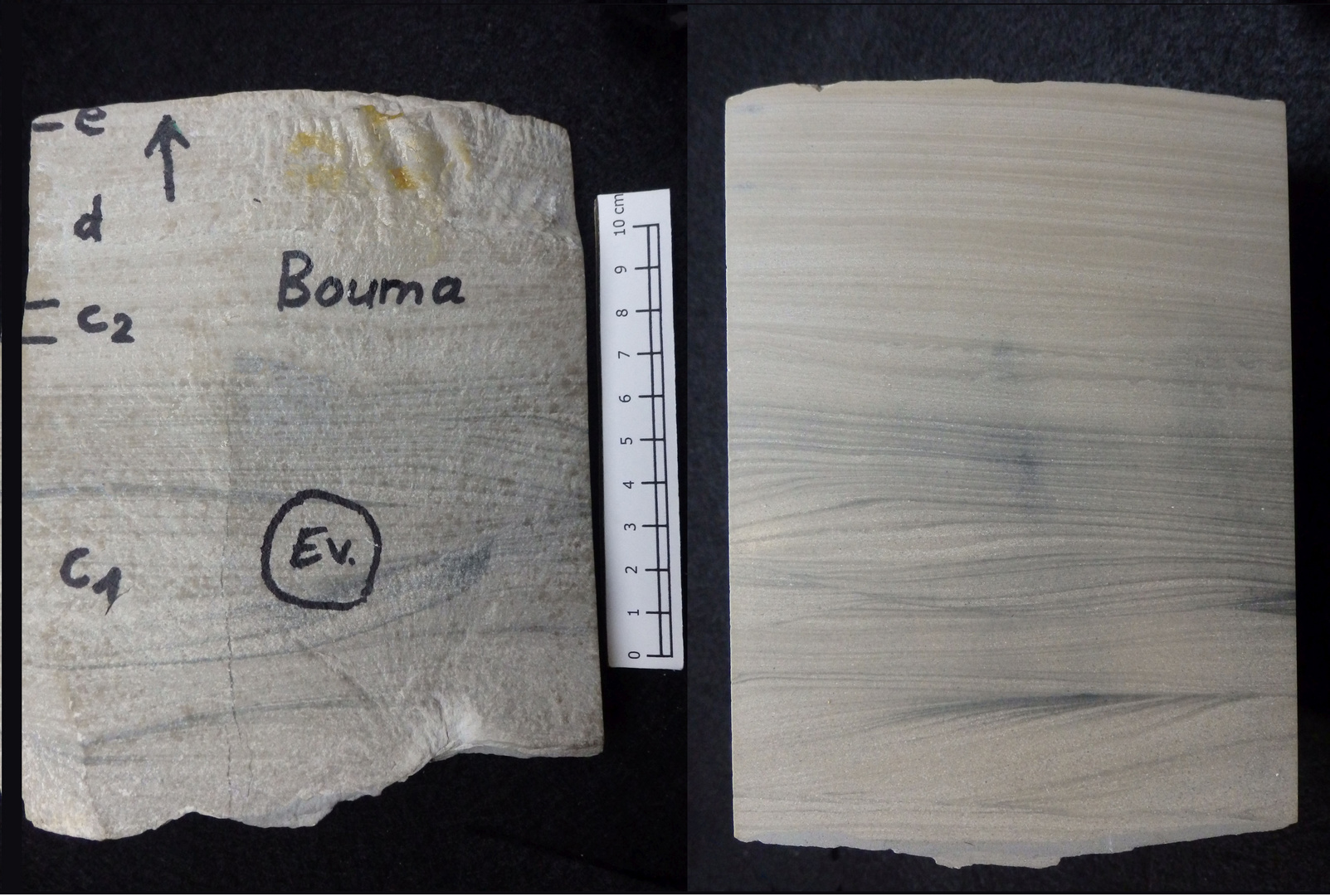 Bouma-Sequenz in einem Gesteins-Handstück der Kreidezeit