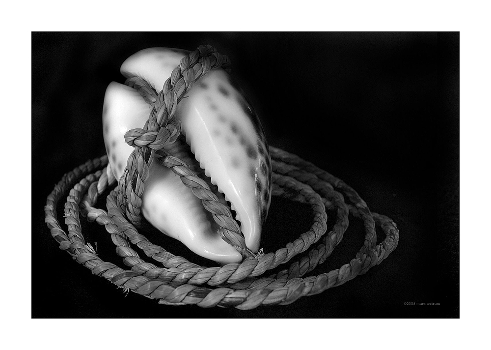 bound shell