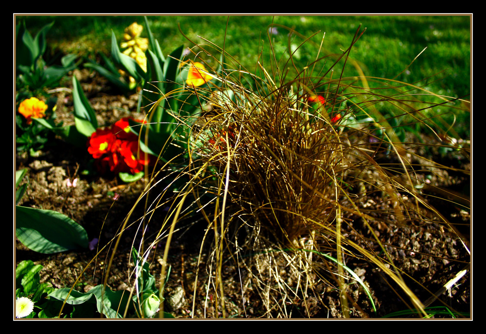 Bouquet