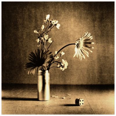 Bouquet Au De Lith Print Scan Version Photo Image Still Life Subjects Images At Photo Community