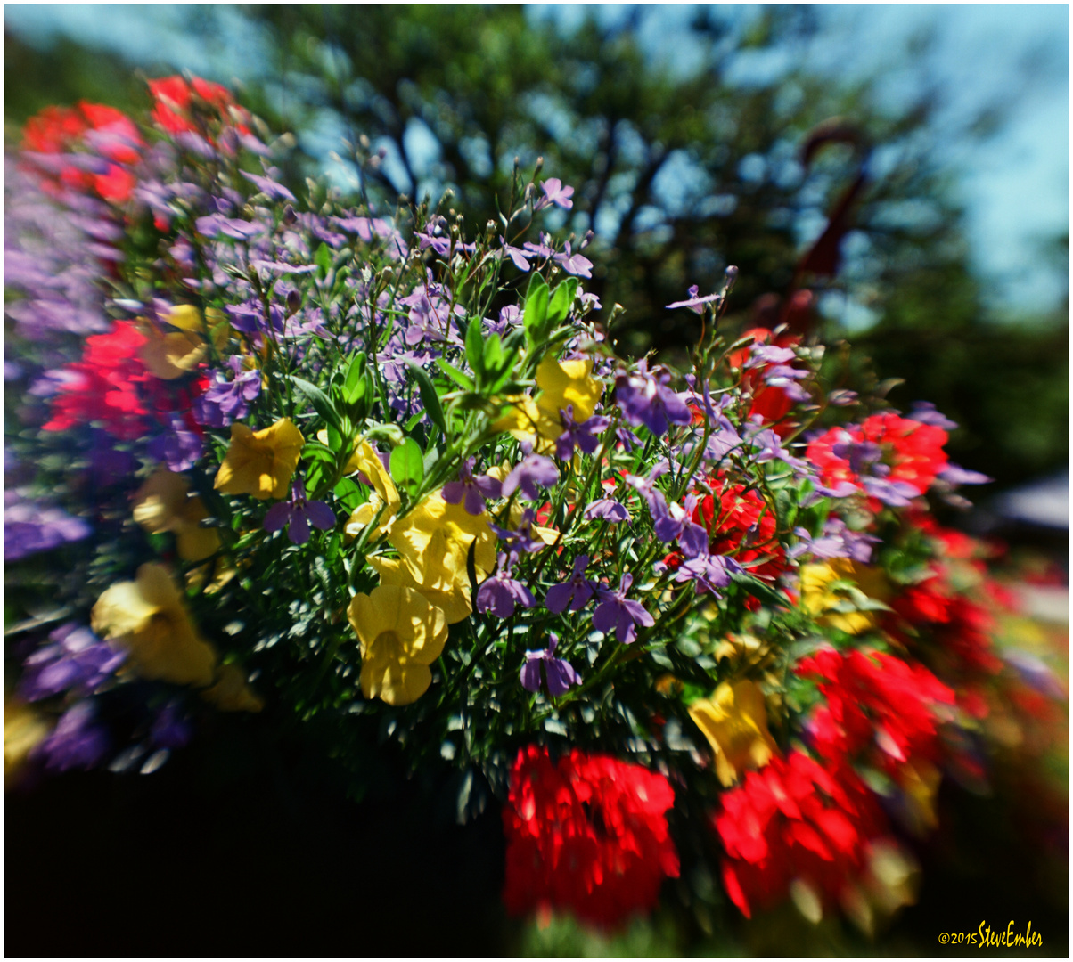 Bouquet 