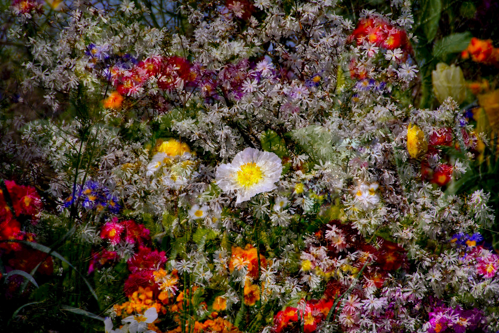 Bouquet champêtre