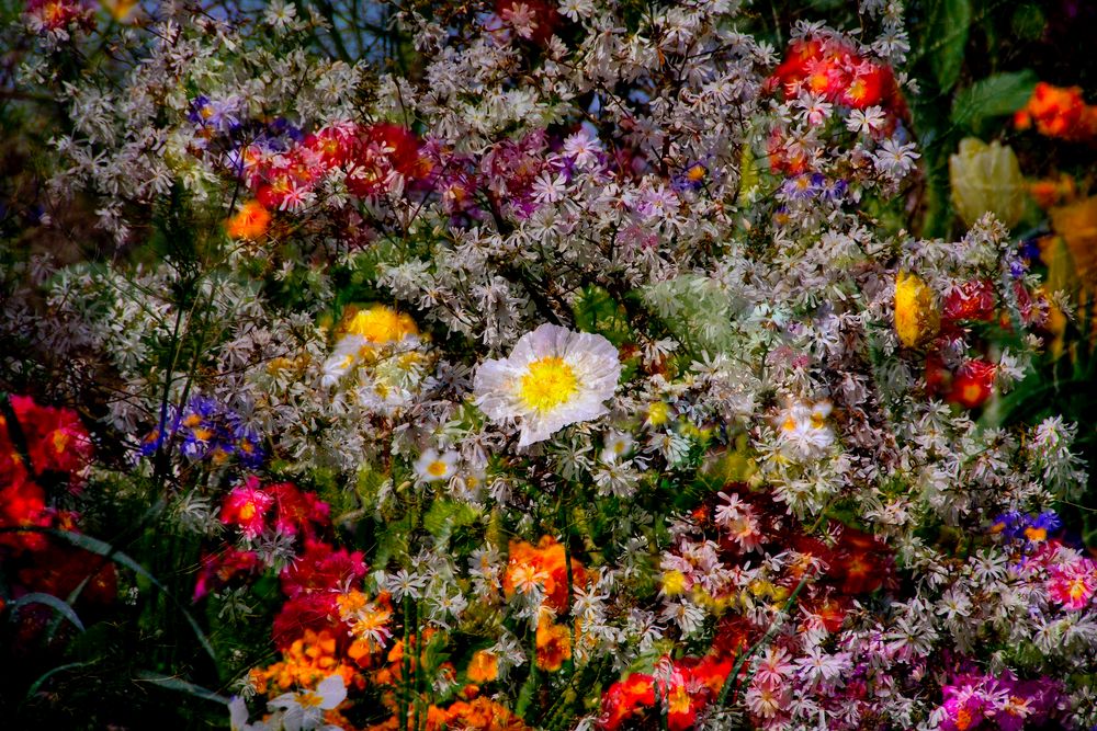 Bouquet champêtre