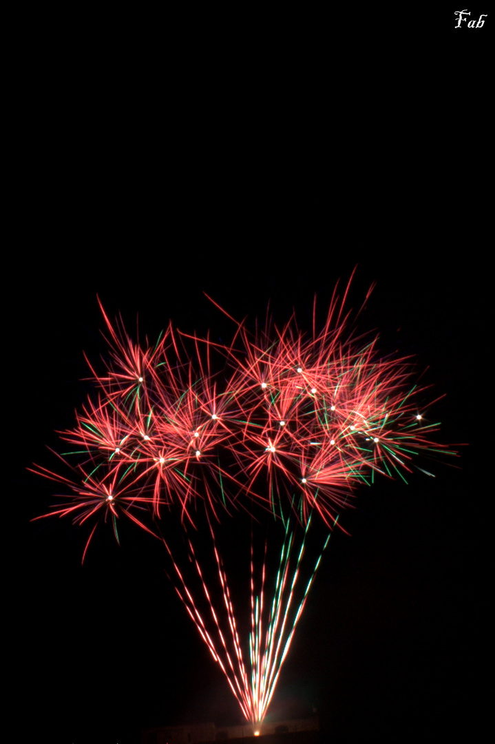 Bouquet de feux