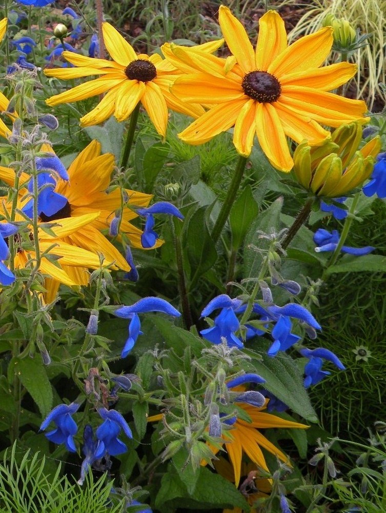 Bouquet de fleurs !