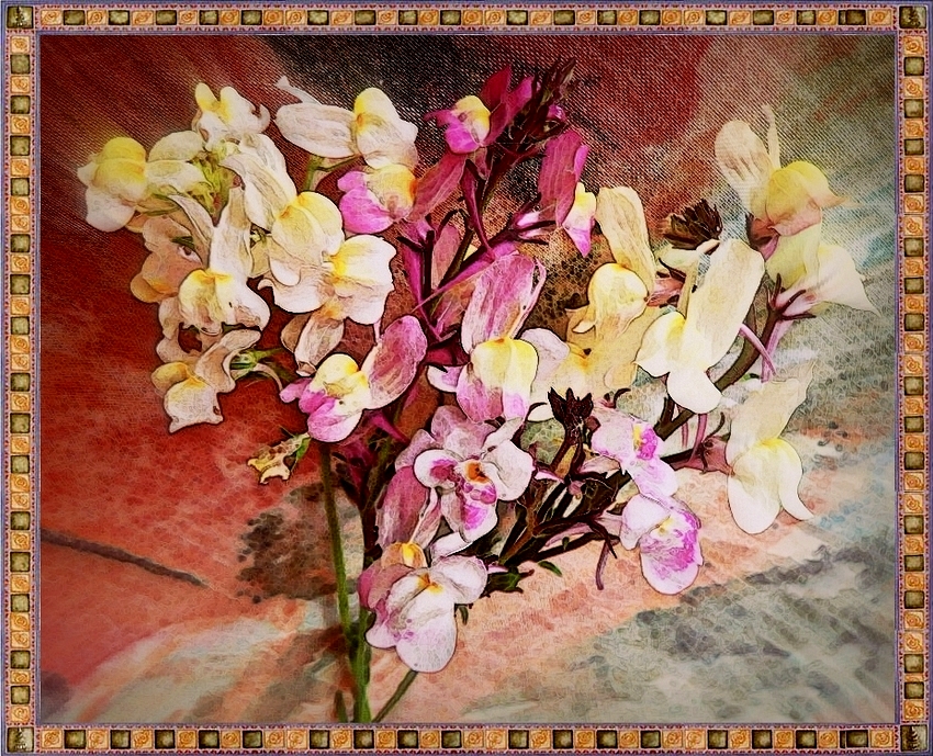 bouquet de petites fleurs de mon jardin