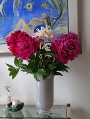 Bouquet de pivoines du jardin