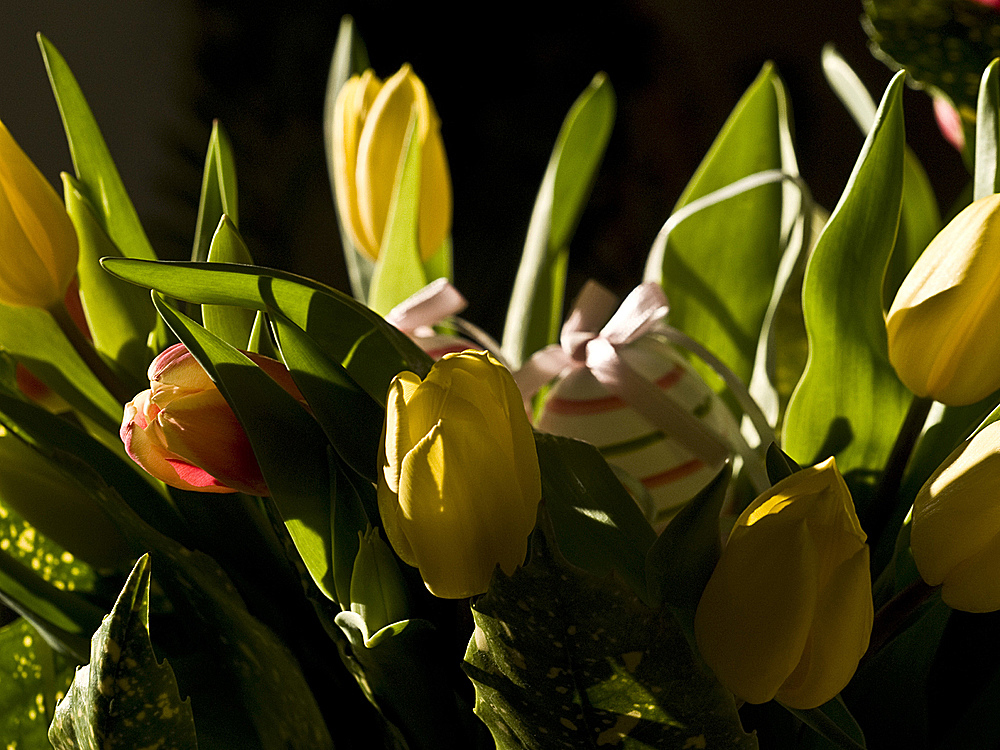 Bouquet de Pâques -- Osternstrauß