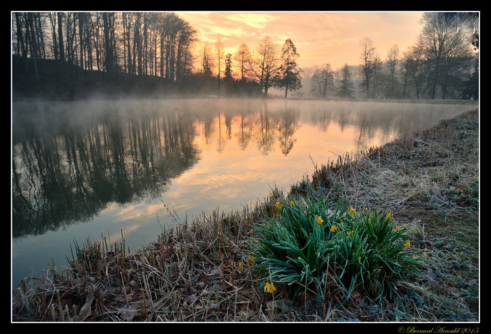 Bouquet de printemps