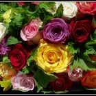 Bouquet de roses