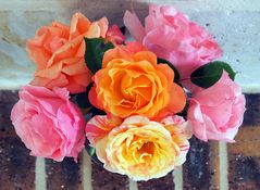 Bouquet de roses du jardin