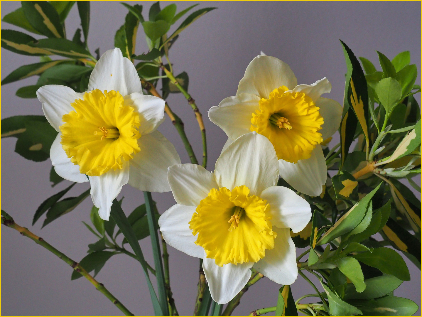 Bouquet du mercredi