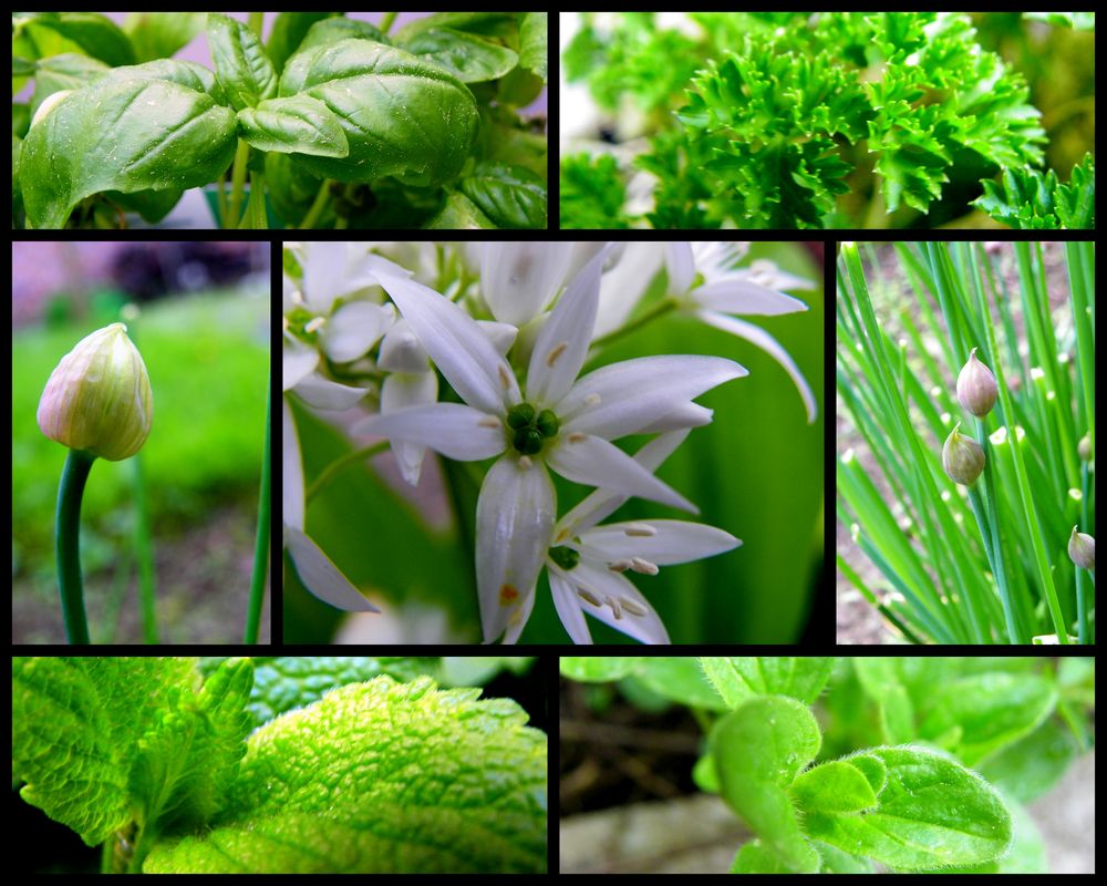 Bouquet für den Gaumen