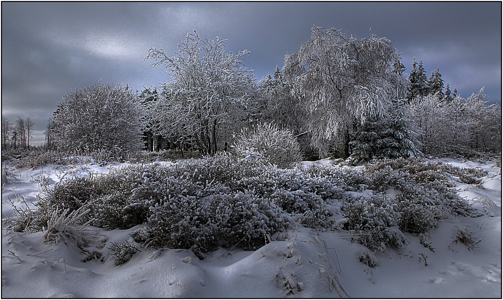 Bouquet hivernal