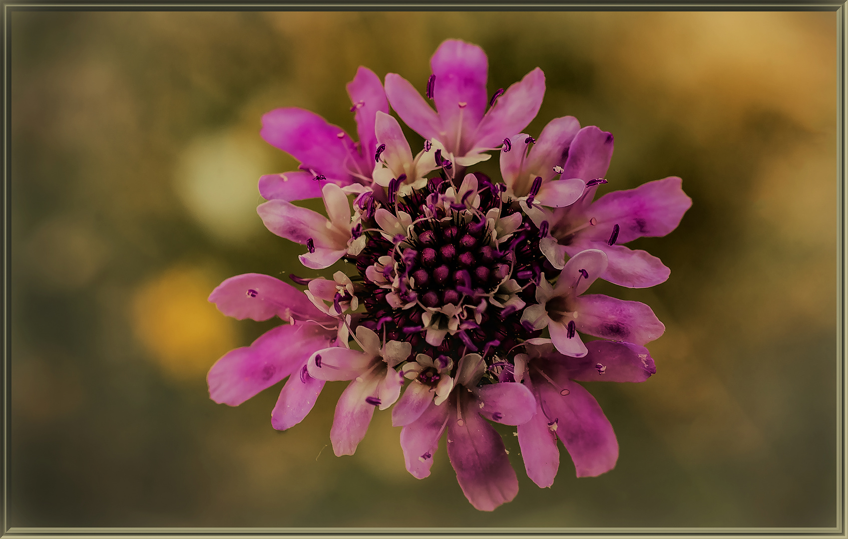 Bouquet mit Bokeh