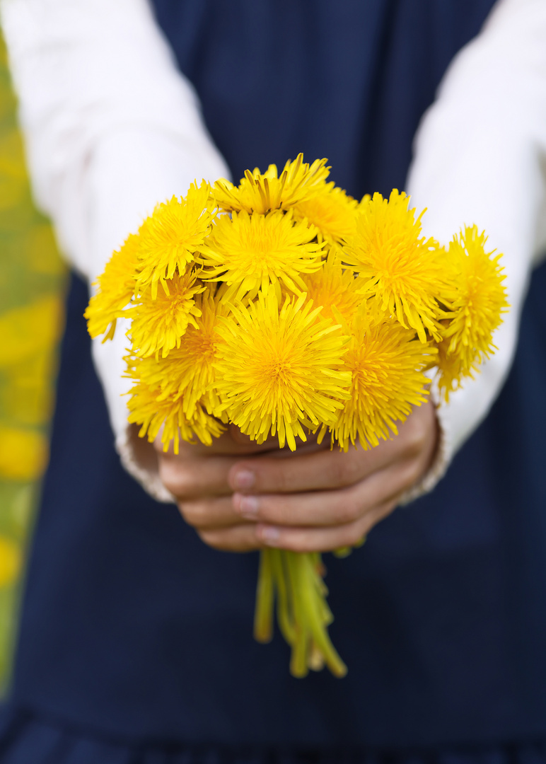 Bouquet of bright yellow dandelions.