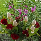 Bouquet printanier  --  Frühlingsstrauss