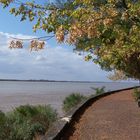 Bourg, la Gironde