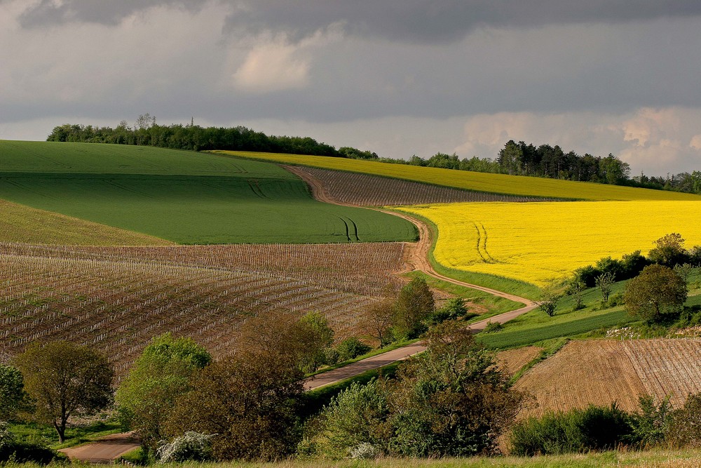 Bourgogne