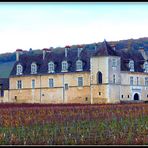 BOURGOGNE - 98 - 