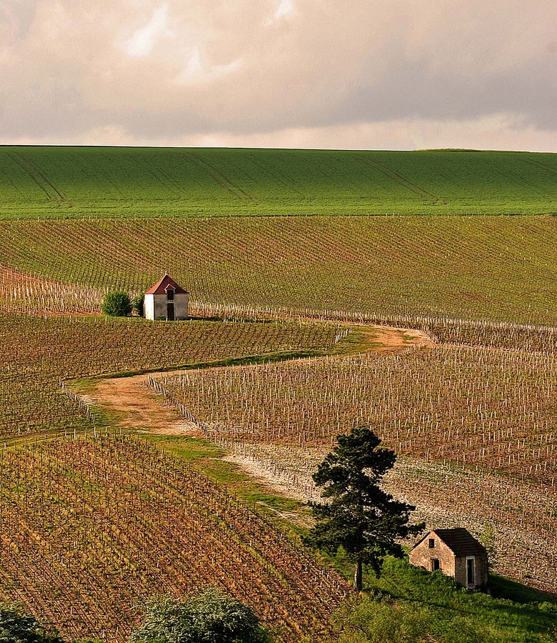 Bourgogne, aout 2005