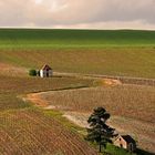 Bourgogne, aout 2005