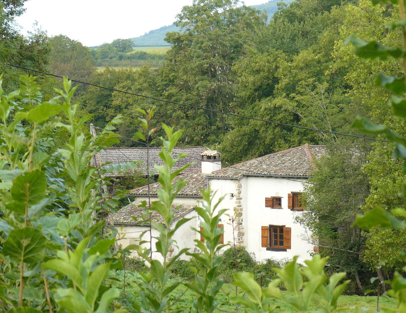 Bourgogne / Burgund: Le Moulin Mathy