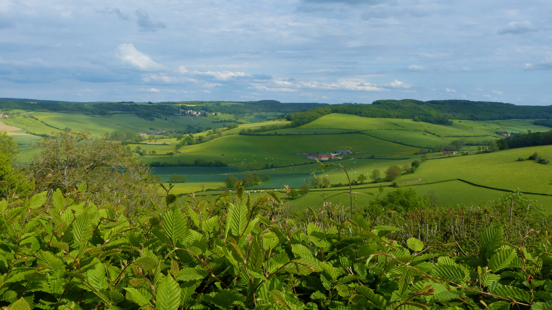 Bourgogne1