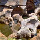 Bourkes Luck Potholes 