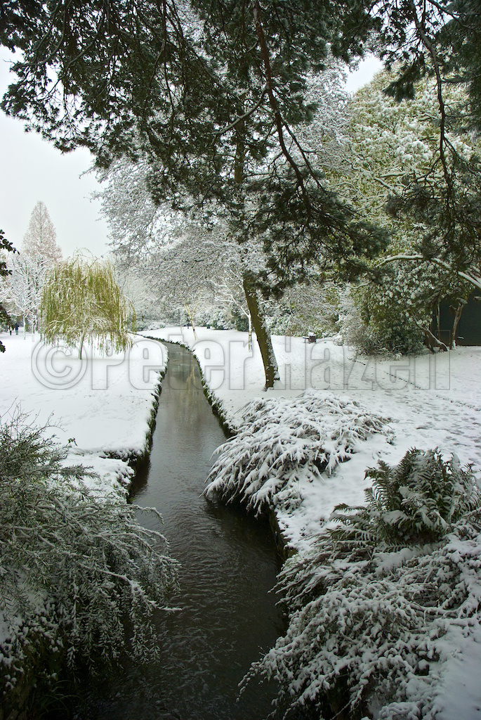 Bournemouth Gardens in winter